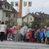 Maibaum 2016